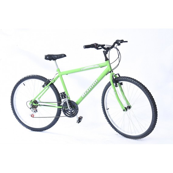 BIC. BB21 BIANINI 26 MASC. C/M PINTADA VERDE