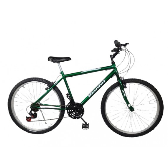 BIC. BB21 BIANINI 26 MASC. C/M PINTADA VERDE METALICO